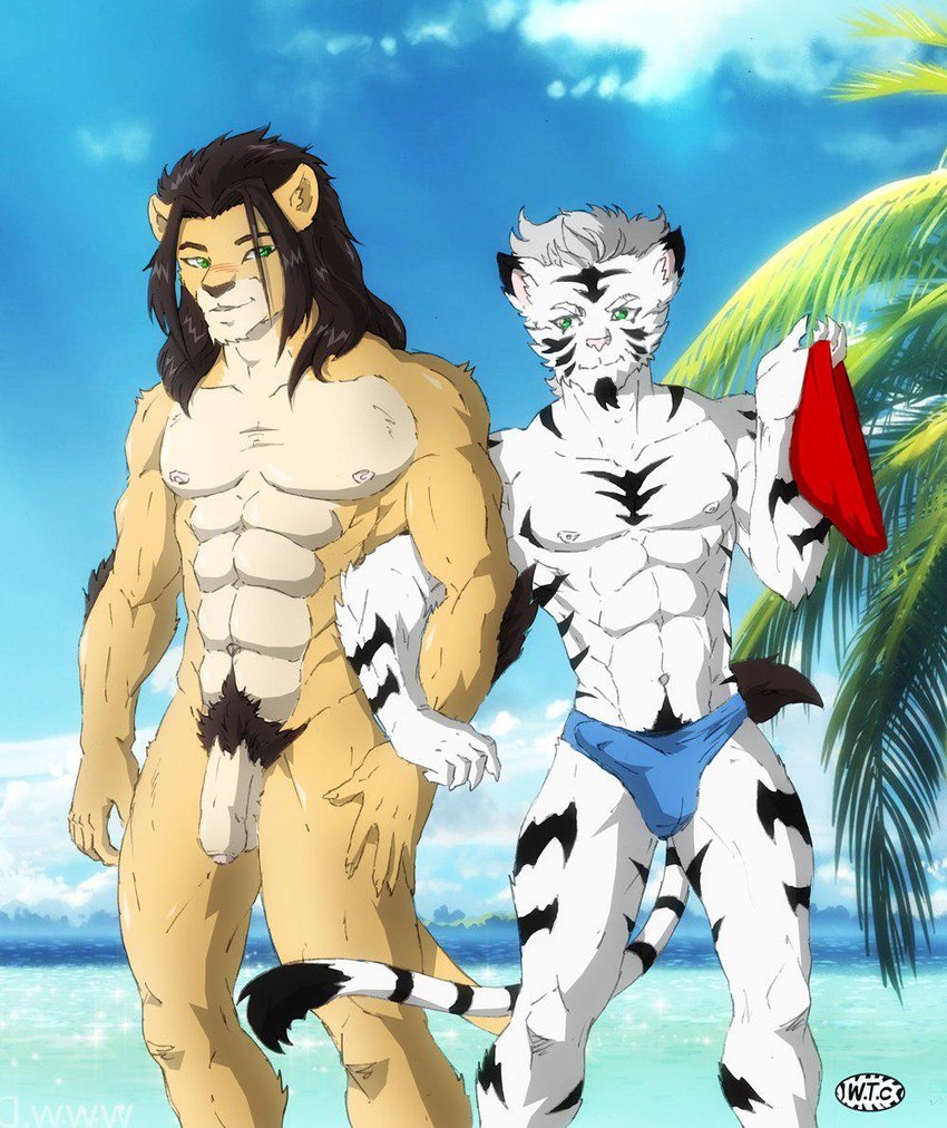 anthro big_muscles big_penis black_hair blue_clothing blue_sky blue_speedo blue_swimwear blush bulge clothed clothing cloud day detailed_background duo eye_contact flaccid foreskin fur genitals green_eyes hair humanoid_genitalia humanoid_penis island landscape long_hair looking_at_another male male/male muscular muscular_male nude outside palm_tree penis plant pubes red_clothing red_speedo red_swimwear sea seaside short_hair sky speedo sun swimwear tree unretracted_foreskin water white_body white_fur white_hair whitetigercub freccia_(whitetigercub) kodiak_(kodiak079) felid lion mammal pantherine tiger