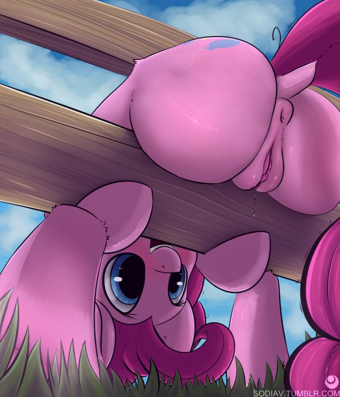 pinkie pie (friendship is magic and etc) created by sodiav and third-party edit