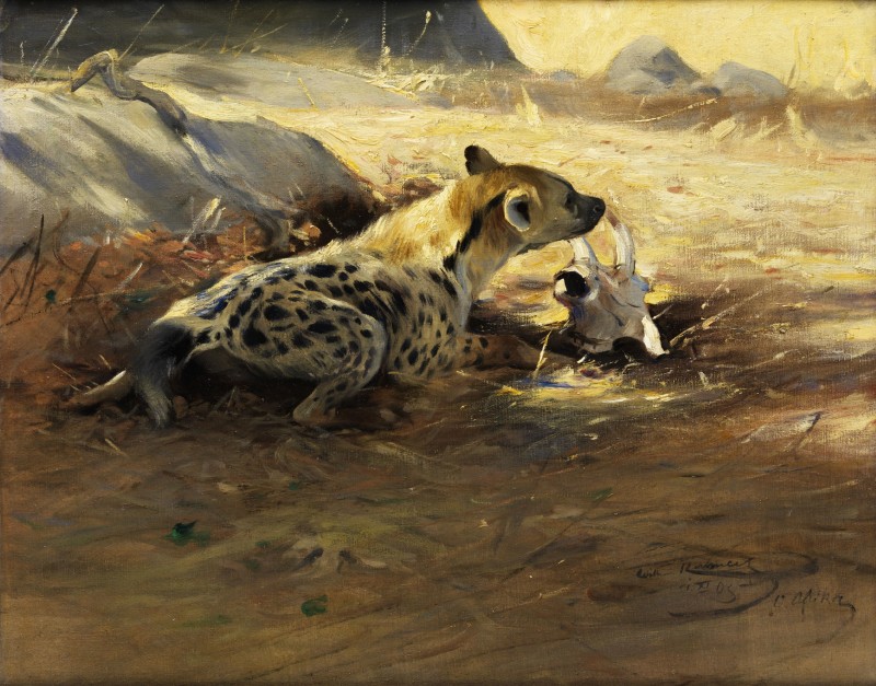 ambiguous_gender bone brown_body brown_fur feral fur lying markings outside rock skull solo spots spotted_body spotted_fur tan_body tan_fur friedrich_wilhelm_kuhnert license_info public_domain hyena mammal spotted_hyena 1905 20th_century absurd_res ancient_art formal_art hi_res signature traditional_media_(artwork)