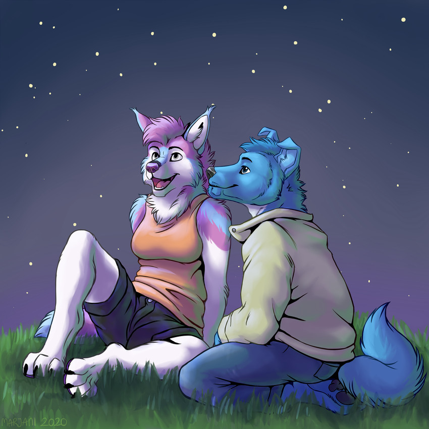 4_toes anthro barefoot blue_body blue_fur bottomwear breasts clothed clothing detailed_background duo feet female fur grass kneeling looking_up male night open_mouth outside pants plant shirt shorts sitting sky smile star starry_sky tank_top teeth toes tongue topwear marjani marjani_(character) canid canine canis domestic_dog mammal wolf 1:1 2020 digital_media_(artwork) hi_res