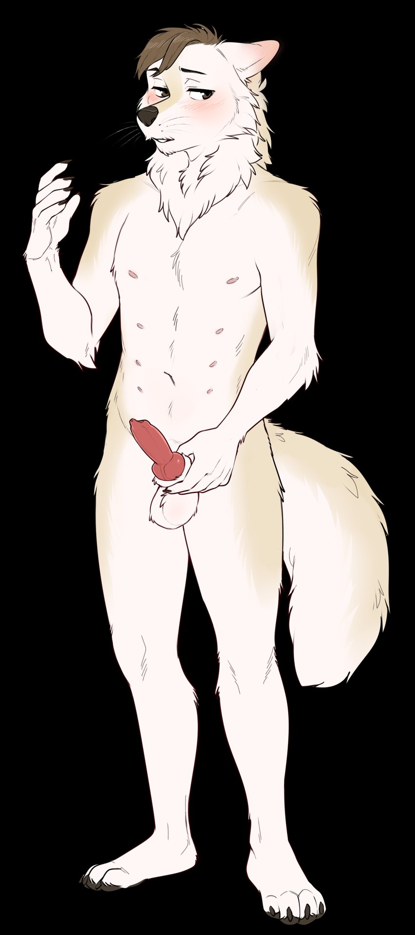 animal_genitalia animal_penis anthro blush brown_eyes canine_genitalia canine_penis ear_blush ears_back feet fluffy flustered flustered_male fur genitals holding_knot holding_knot_root holding_own_knot holding_own_penis holding_own_sheath holding_penis holding_sheath knot knotted_penis light_body light_fur male multi_nipple nipples penis pivoted_ears pose scruffy sheath sheath_pull sheath_pulled_back small_penis small_penis_exposure solo toes whiskers viskasunya sabbyth canid canine canis mammal wolf absurd_res alpha_channel hi_res