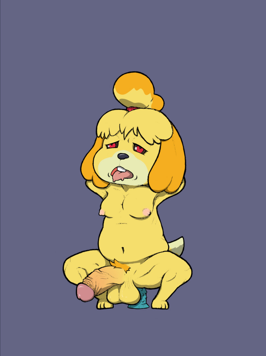 isabelle (animal crossing and etc) created by bayjaw