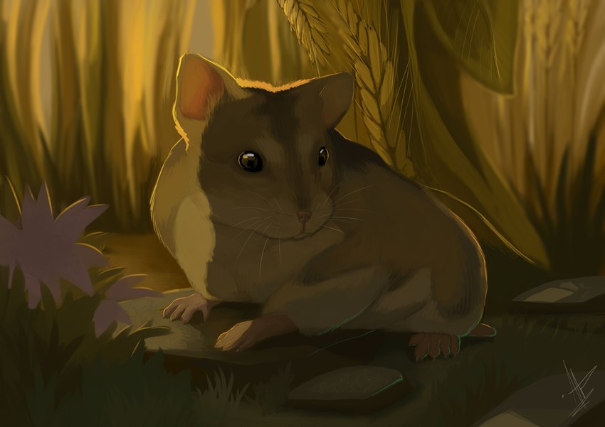 ambiguous_feral ambiguous_gender backlighting brown_body brown_eyes brown_fur detailed_background feral flower fur grass light plant solo whiskers white_whiskers hamham5 cricetid hamster mammal rodent 2023 absurd_res digital_media_(artwork) digital_painting_(artwork) hi_res lighting shaded