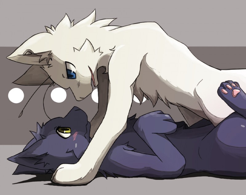 blue_eyes blush duo feral male male/male yellow_eyes hot_dog_wolf rokh_(artist) neko_no_chikyugi homura_(neko_no_chikyugi) kasuka domestic_cat felid feline felis mammal 2013