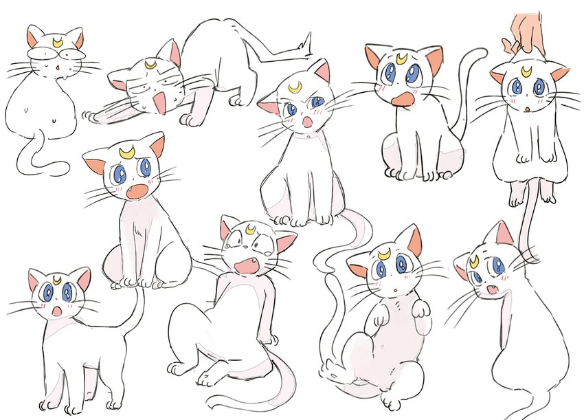 blue_eyes blush bodily_fluids fangs fur male multiple_poses open_mouth pose shocked simple_background surprise tears teeth variations white_background white_body white_fur tsubobot sailor_moon_(series) artemis_(sailor_moon) domestic_cat felid feline felis mammal