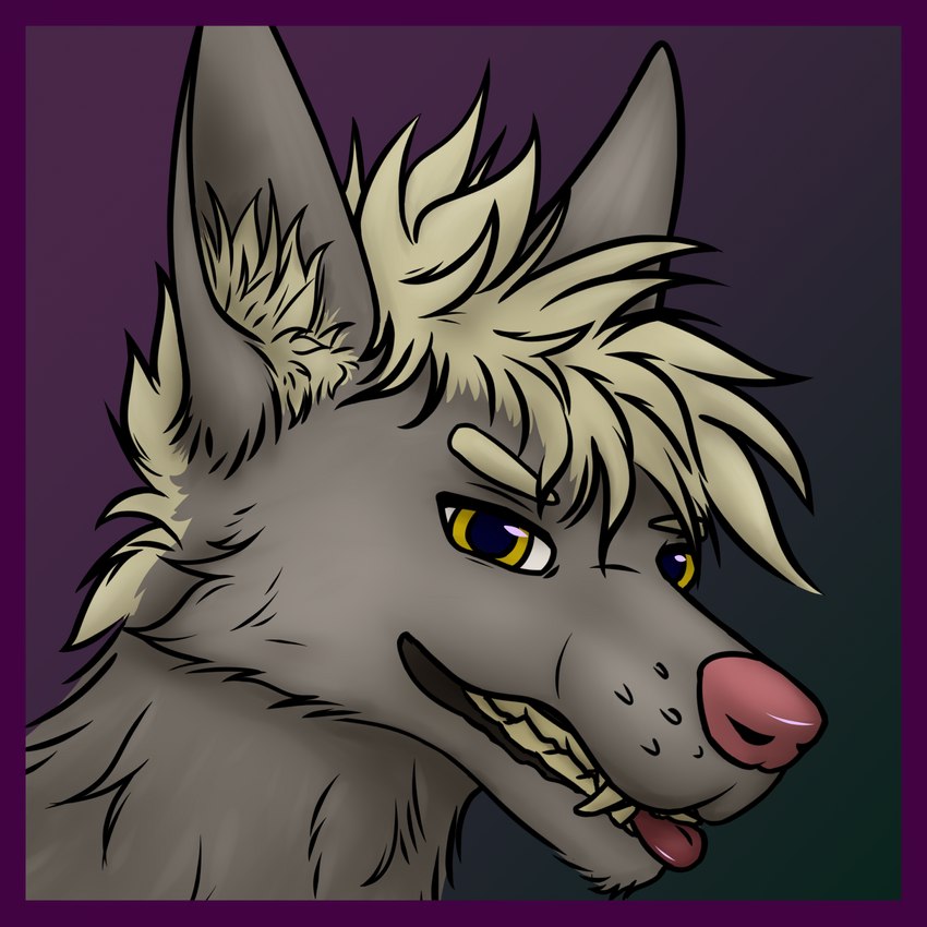 anthro blep border male pink_nose purple_border solo tongue tongue_out weremlems mythology canid canine canis mammal mythological_canine mythological_creature werecanid werecanine werecreature werewolf wolf 1:1 hi_res icon portrait