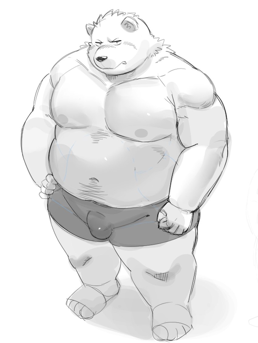 anthro bulge clothing humanoid_hands kemono male moobs nipples overweight overweight_male simple_background solo underwear white_background sv_grart bear mammal 2023 hi_res