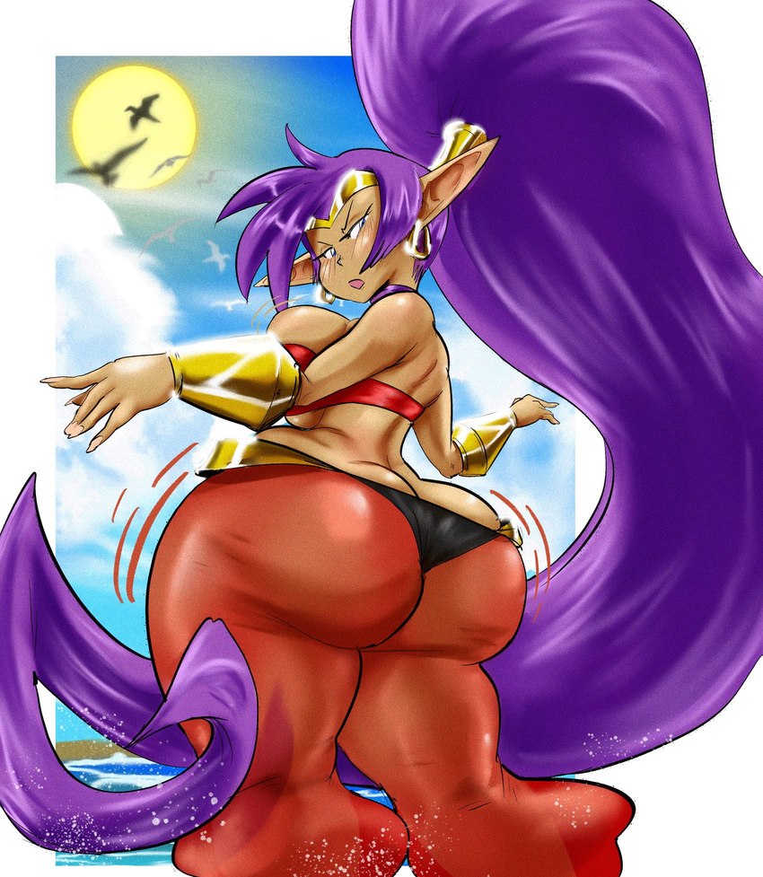 belly_dancer big_breasts big_butt breasts butt dancing female hair huge_butt humanoid_pointy_ears not_furry pointy_ears purple_hair shaking_butt solo rchammer shantae_(series) wayforward shantae genie humanoid hi_res