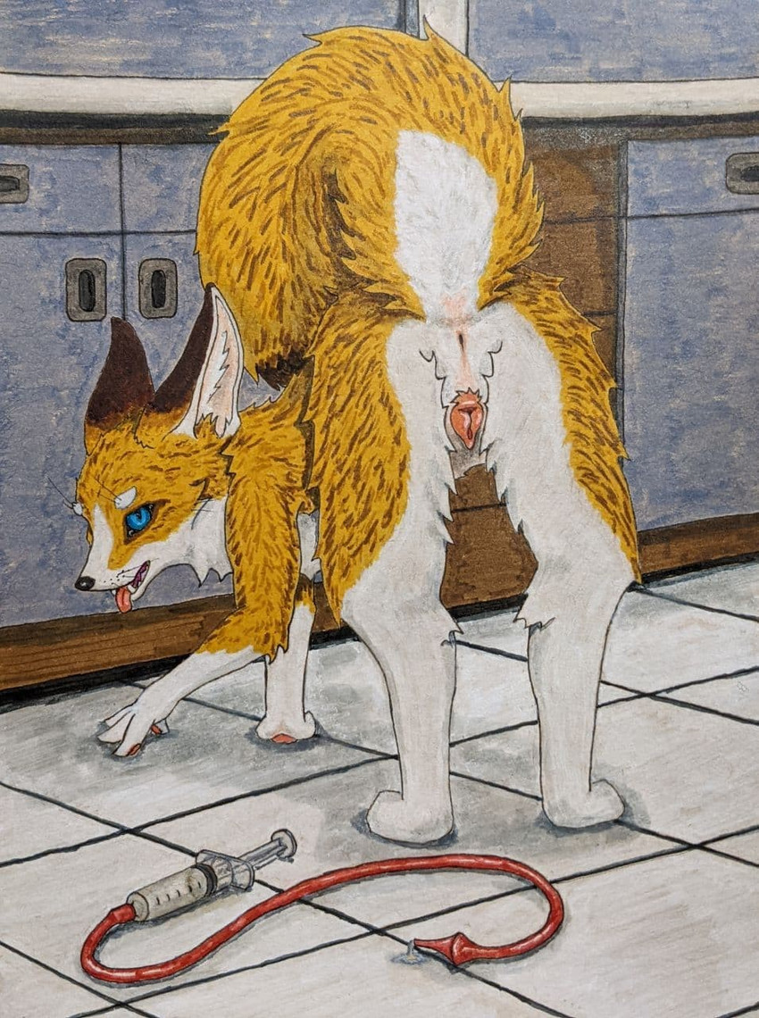 all_fours anatomically_correct anatomically_correct_genitalia anatomically_correct_pussy animal_genitalia animal_pussy anthro anus artificial_insemination big_ears blue_eyes bodily_fluids canine_genitalia canine_pussy cum_tube female flagging fur genitals in_heat laboratory looking_at_viewer looking_back masturbation medical medical_instrument medical_play medical_syringe pregnancy_risk presenting presenting_anus presenting_pussy pussy raised_tail rear_view scientific_instrument semi-anthro sex_toy solo syringe tail whiskers yellow_body yellow_fur ravasker nella canid canine fennec_fox fox mammal true_fox colored hi_res traditional_media_(artwork)