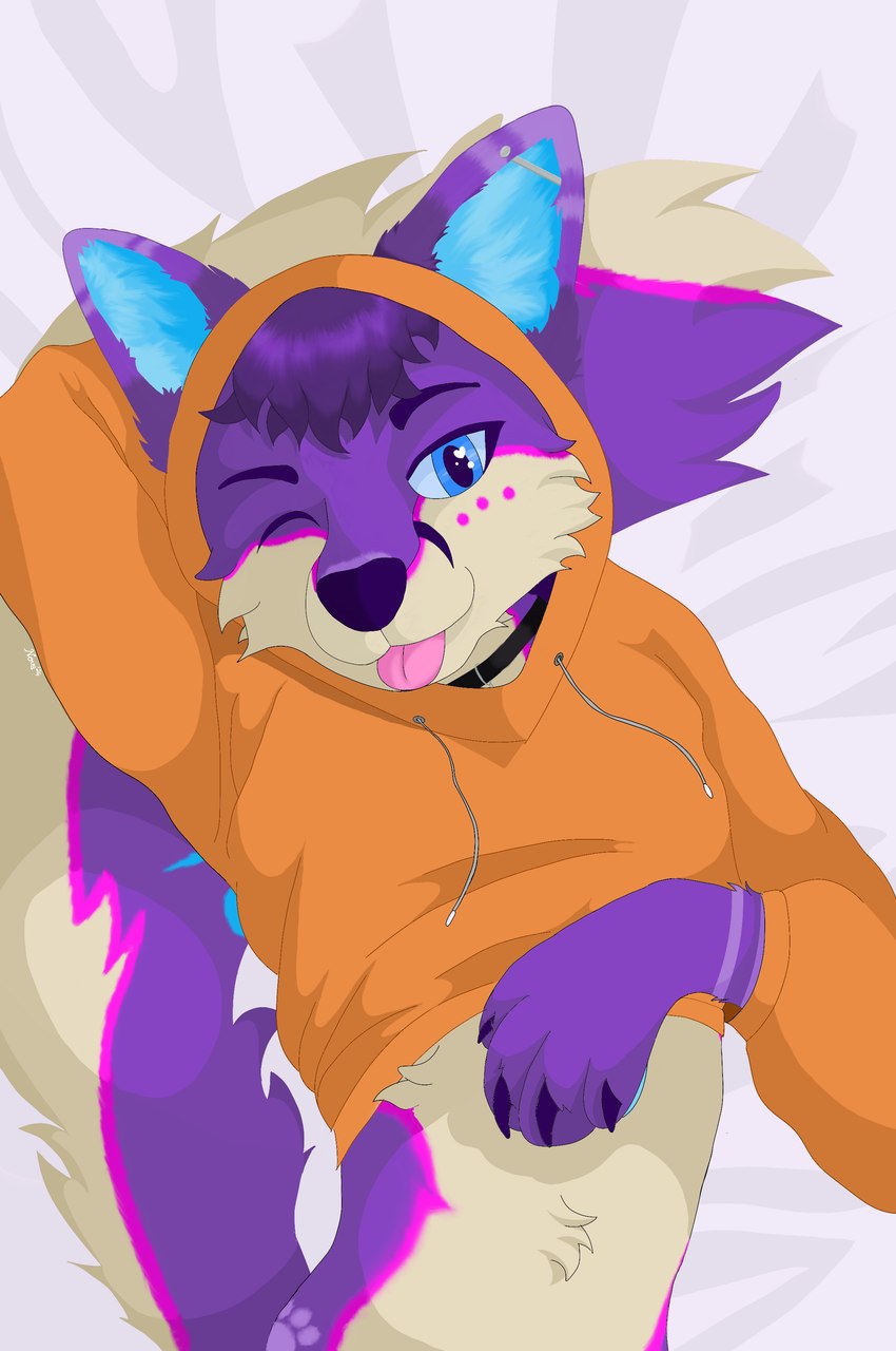 ambiguous_gender arm_tuft belly_tuft blep blue_eyes blue_inner_ear blue_inner_ear_fluff bottomless cheek_tuft clothed clothing collar ear_piercing ear_tuft facial_tuft femboy fluffy fluffy_tail fur fur_markings hand_behind_head heart_eyes heart_symbol hoodie hoodie_only industrial_piercing inner_ear_fluff laying_on_tail looking_at_viewer lying male markings multicolored_body multicolored_fur novabyte on_back one_eye_closed orange_clothing orange_hoodie orange_topwear paw_mark pawpads piercing purple_body simple_background solo tail tongue tongue_out topwear topwear_only tuft two_tone_body wink winking_at_viewer fluffybean12 canid canine fox mammal absurd_res digital_media_(artwork) hi_res shaded