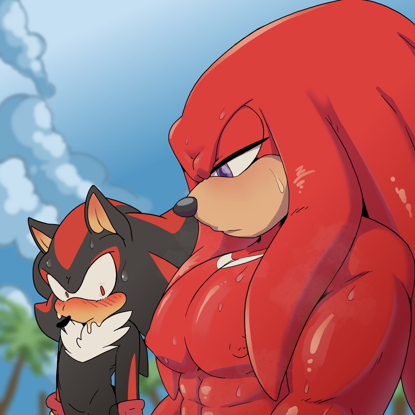 abs anthro biceps black_body blush bodily_fluids clothing duo fur gloves hair handwear male male/male muscular muscular_anthro muscular_male nipples outside pecs plant sky standing sweat sweatdrop hotcocopon girl_staring_at_man's_chest sega sonic_the_hedgehog_(series) knuckles_the_echidna shadow_the_hedgehog echidna eulipotyphlan hedgehog mammal monotreme 1:1 absurd_res digital_media_(artwork) hi_res meme