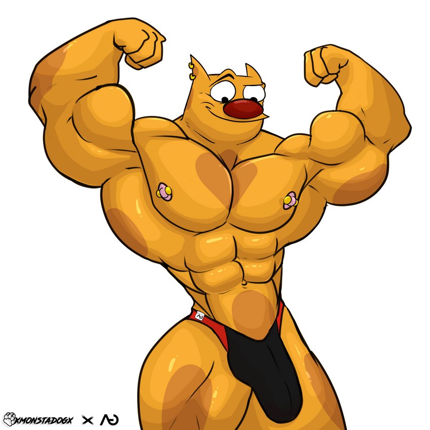 abs anthro biceps bulge clothing detailed_bulge ear_piercing flexing genital_outline male muscular muscular_anthro muscular_male nipple_piercing nipples pecs penis_outline piercing solo thong underwear monstadog catdog_(series) nickelodeon felinius_cat domestic_cat felid feline felis mammal 1:1 absurd_res hi_res