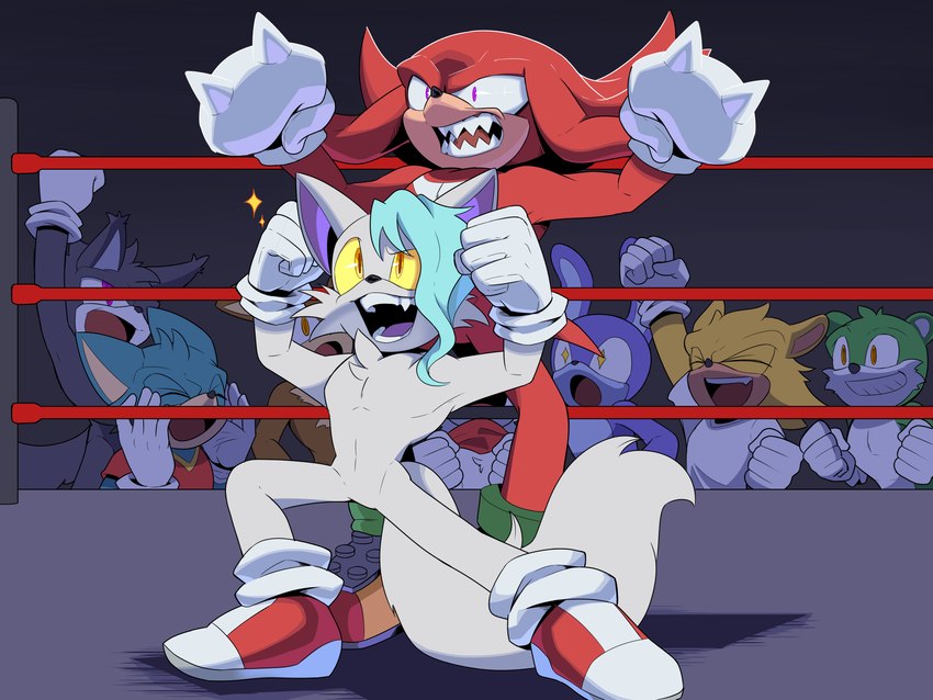 anthro cheering clothing crowd detailed_background duo_focus fighting_ring footwear group inside male male/male pose red_clothing red_footwear red_shoes shadow shoes sneakers white_body unknown_artist sega sonic_the_hedgehog_(series) wwe knuckles_the_echidna raaf_helder_(character) arctic_wolf canid canine canis echidna mammal monotreme wolf 4:3 absurd_res digital_drawing_(artwork) digital_media_(artwork) hi_res