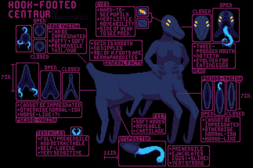 6_legs 8_limbs blue_tentacles diagram frontal_taur_genitals frontal_taur_pussy genitals grey_body grey_skin herm infographic informative intersex multi_eye multi_genitalia ovipositor purple_text pussy solo species_sheet tentacle_ovipositor tentacles text yellow_eyes negativskill alien hook-footed_centaur monster taur digital_media_(artwork) model_sheet pixel_(artwork)