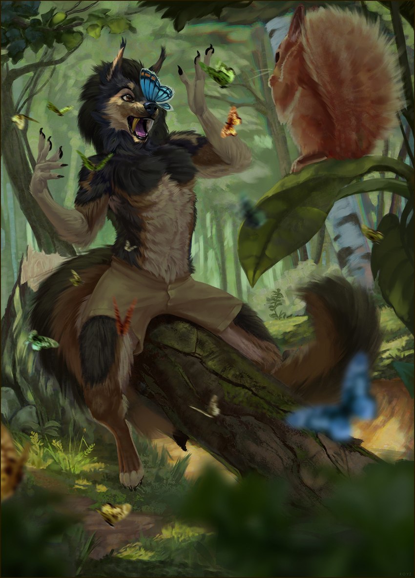 anthro forest happy male plant solo summer sunny tree wood conditional_dnp latex_(artist) bayzan arthropod butterfly canid canine canis domestic_dog insect lepidopteran mammal wolf 2022 hi_res