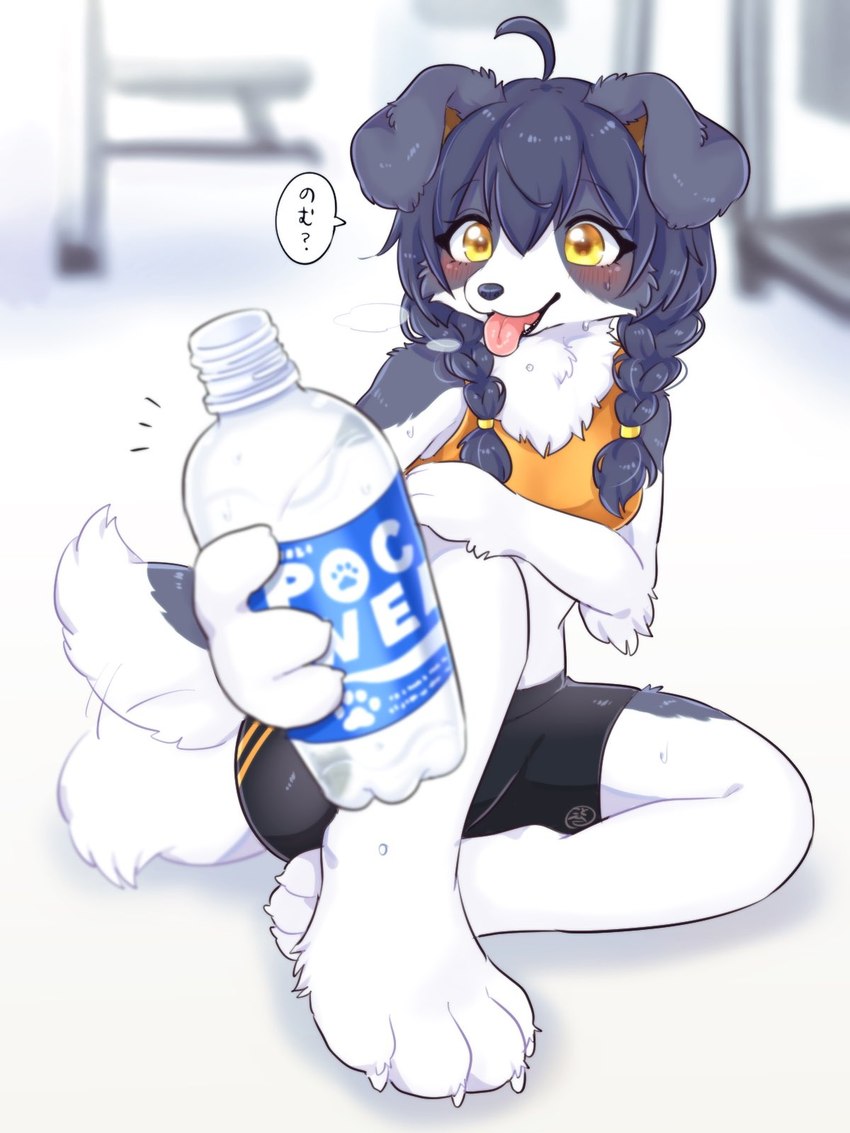 cotorita (pocari sweat) created by koto0v0haru