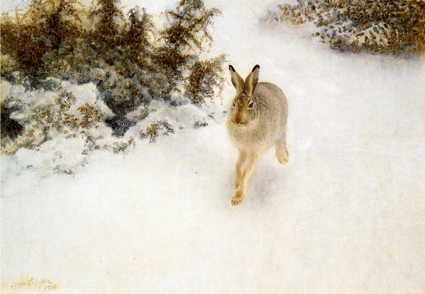 brown_body feral fur grey_body grey_fur long_ears outside photorealism quadruped realistic snow solo winter bruno_liljefors public_domain hare lagomorph leporid mammal 1908 20th_century ancient_art oil_painting_(artwork) painting_(artwork) signature traditional_media_(artwork)