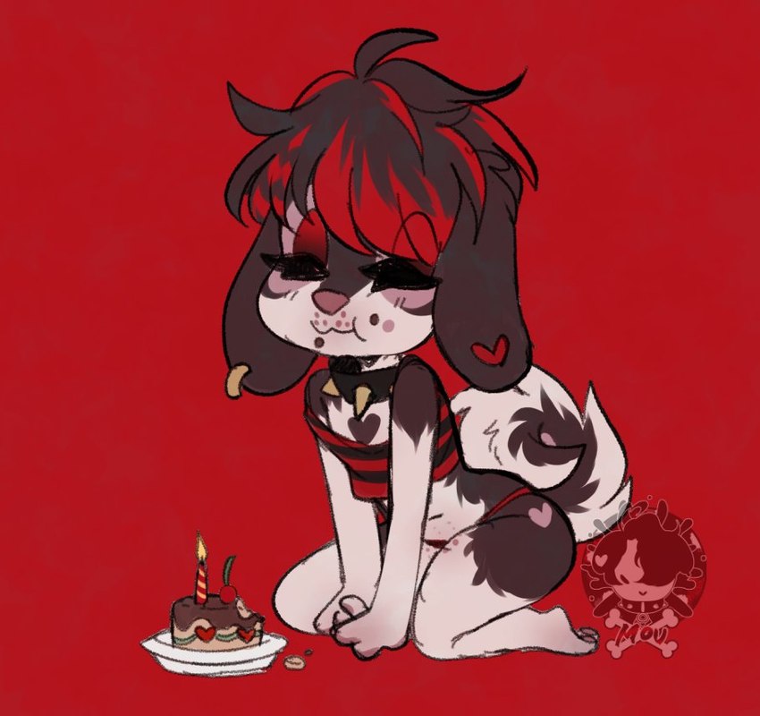 anthro birthday_cake black_hair cake clothed clothing collar crop_top crossdressing curled_tail dessert ear_piercing ear_ring eating eyes_closed femboy floppy_ears food fur grey_body grey_fur hair heart_(marking) highlights_(coloring) kneeling male markings panties pawpads paws piercing pink_pawpads red_background red_highlights ring_piercing shirt simple_background smile smiles solo spiked_collar spikes tail topwear underwear moucchiato moucchiato_(character) canid canine canis domestic_dog mammal