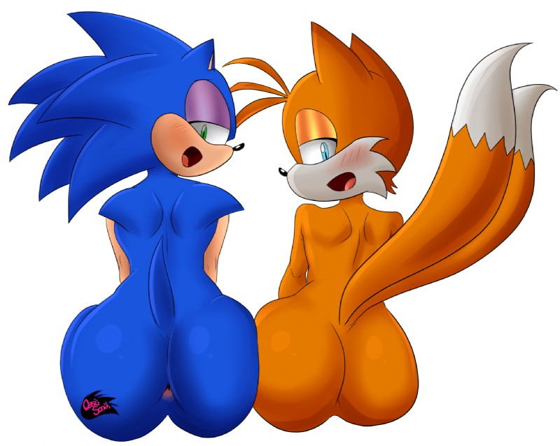 miles prower and sonic the hedgehog (sonic the hedgehog (series) and etc) created by oasissonik