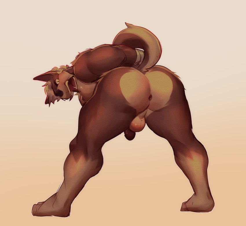 angry anthro anus balls bent_over brown_body butt darkened_genitalia darkened_penis fluffy fur gasp genitals hands_behind_back male muscular muscular_anthro muscular_male open_mouth pecs penis rear_view simple_background solo spread_legs spreading standing tan_body tan_fur snaftfc canid canine mammal absurd_res hi_res