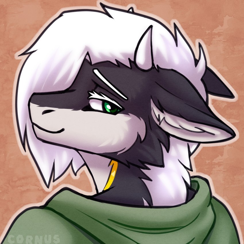 anthro black_body black_fur clothing fur green_eyes horn looking_at_viewer male solo sweater topwear white_body white_fur white_horn cornus mythology dragon furred_dragon furred_scalie mythological_creature mythological_scalie scalie 1:1 headshot_portrait portrait