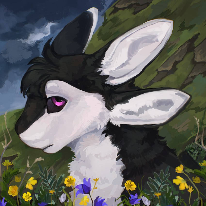 4_ears ambiguous_gender anthro black_body black_feathers black_fur black_sclera blue_flower calm cloud cloudy_sky detailed_background emotionless feathers flower fur grass grassland hair looking_at_viewer mountain multi_ear nature nature_background nude outside plant purple_eyes sky solo tuft white_body white_feathers white_fur yellow_flower sorok265 fyr_(fenrir784) avali avian bird 1:1 2024 colored digital_media_(artwork) headshot_portrait hi_res portrait shaded