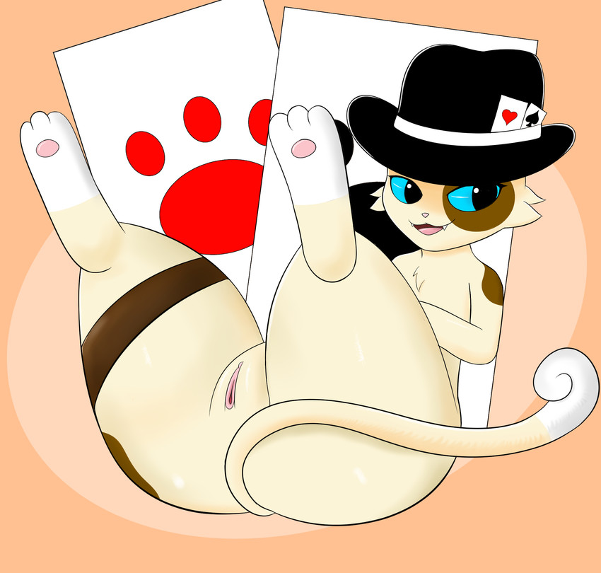 butt card clothing female feral genitals hat headgear headwear legs_up looking_at_viewer pawpads paws sitting smile solo spots prismosis dealer_(prismosis) domestic_cat felid feline felis mammal hi_res