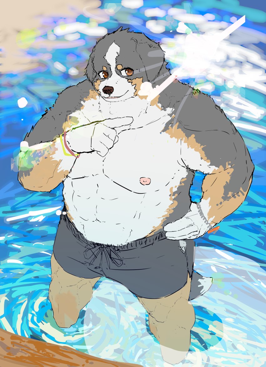 anthro biped black_body black_fur black_nose brown_body brown_fur clothing fur humanoid_hands kemono male outside solo swimwear water white_body white_fur 7gaku_7 bernese_mountain_dog canid canine canis domestic_dog mammal molosser mountain_dog swiss_mountain_dog 2021