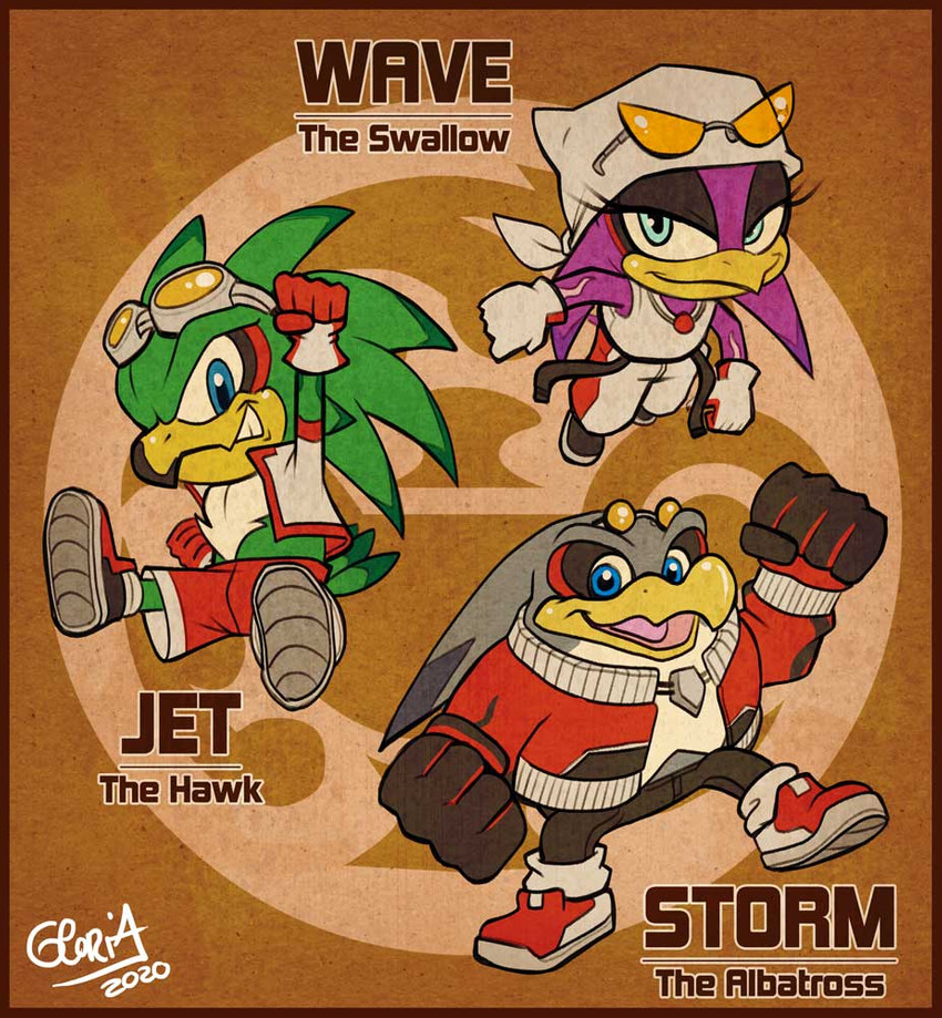 jet the hawk, storm the albatross, and wave the swallow (sonic the hedgehog (series) and etc) created by nostalgicrogue