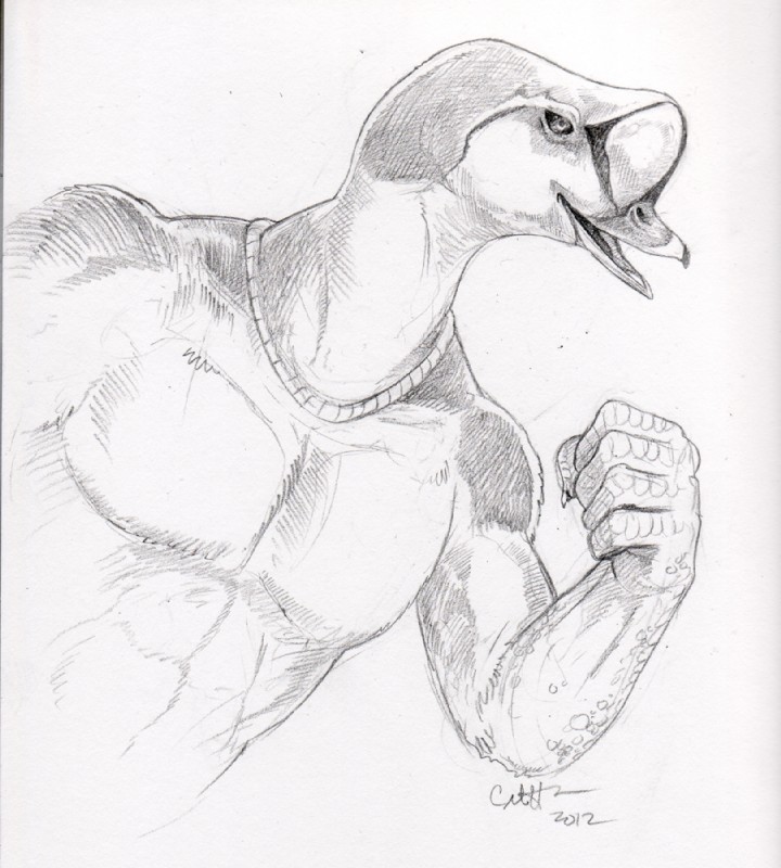 5_fingers abs anthro beak biped collarbone feathers fingers fist flexing humanoid_hands leaning leaning_forward male muscular muscular_anthro muscular_male neck_muscles nude open_beak open_mouth open_smile pecs shadow simple_background smile solo white_background ironfeathers refkell_unnarson anatid anseriform avian bird duck eider king_eider sea_duck 2012 black_and_white graphite_(artwork) half-length_portrait hatching_(art) monochrome portrait shaded signature traditional_media_(artwork)