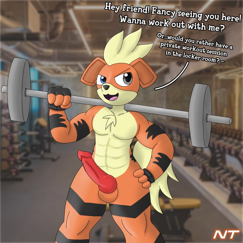 abs animal_genitalia animal_penis anthro barbell belly canine_genitalia canine_penis chest_tuft clothing dialogue erection exercise fingerless_gloves fluffy fluffy_tail fur genitals gloves gloves_only gym hair hand_on_hip handwear handwear_only head_tuft heterochromia holding_barbell holding_object inside knot knotted_penis lifting looking_at_viewer male mostly_nude muscular nude nude_male open_mouth orange_body orange_fur penis pokemorph smile solo standing striped_body stripes tail talking_to_viewer tan_belly tongue tuft weightlifting weights workout ninjatreecko nintendo pokemon blaze_ignatius canid canine generation_1_pokemon growlithe mammal pokemon_(species) hi_res