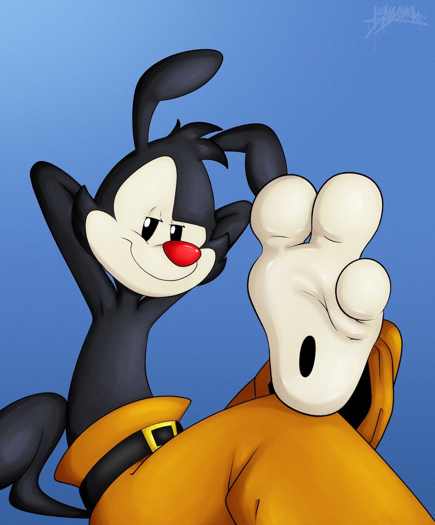 yakko warner (warner brothers and etc) created by benjipaws