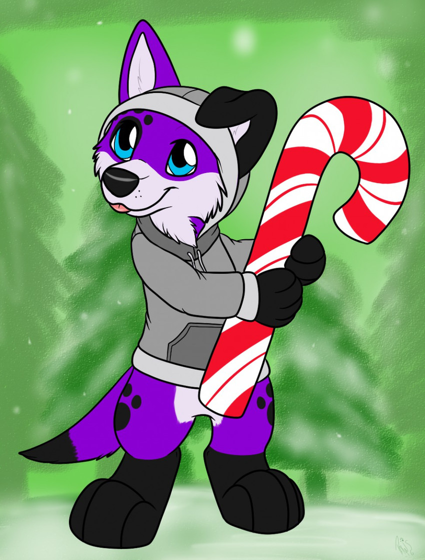 anthro black_paws candy candy_cane clothing clothing_cord dessert drawstring drawstring_topwear floppy_ears food footprint fur grey_clothing grey_hoodie grey_topwear holding_candy_cane holding_food holding_object holidays hoodie male monotone_clothing monotone_hoodie monotone_topwear pawprint purple_body purple_fur solo topwear paws_(artist) pawalo canid canine canis domestic_dog elkhound mammal spitz hi_res