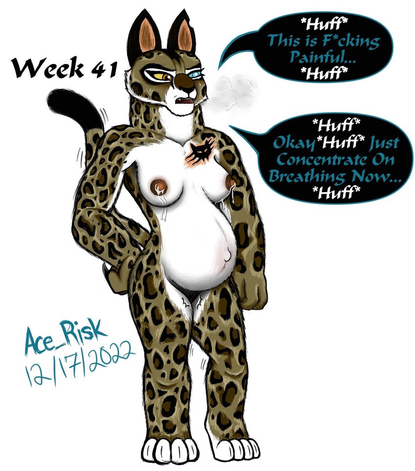 anthro belly bodily_fluids breasts breath bump contractions dipstick_tail female fur genitals heat_(temperature) labor lactating markings navel nipples outie_navel panting pregnant progression pussy simple_background solo spots spotted_body spotted_fur stretch_marks sweat tail tail_markings tattoo weight_gain white_background wide_hips ace-risk dreamworks kung_fu_panda su_wu wu_sisters clouded_leopard felid feline mammal pantherine source_request