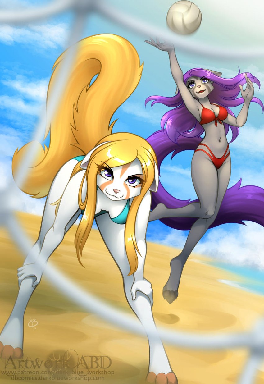 anthro ball beach bikini blonde_hair breasts clothing duo female fluffy fluffy_tail fur grey_body grey_fur hair long_tail navel net open_mouth pink_nose purple_eyes purple_hair sand seaside swimwear tail two-piece_swimsuit volleyball_(ball) volleyball_net water white_body white_fur abluedeer dreamkeepers jeneviv_(dreamkeepers) kalei_(dreamkeepers) ailurid mammal red_panda 2022 hi_res