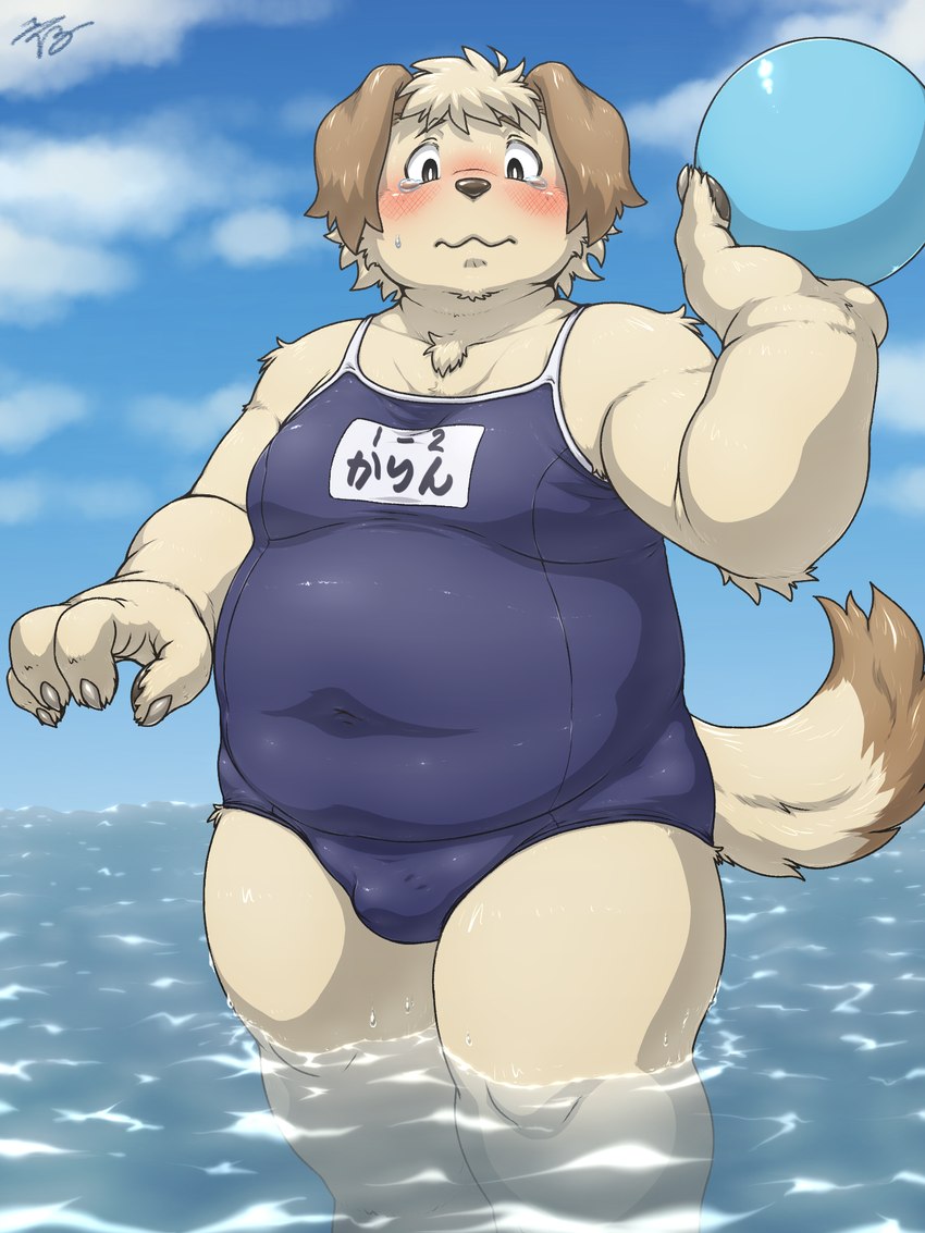 4_fingers anthro biped blush bulge claws clothed clothing crossdressing fingers floppy_ears fur kemono male one-piece_swimsuit overweight overweight_anthro overweight_male partially_submerged school_swimsuit shota solo swimwear tail water young young_anthro young_male tsuchi_dash karin_(tsuchi_dash) canid canine canis domestic_dog mammal 3:4 hi_res