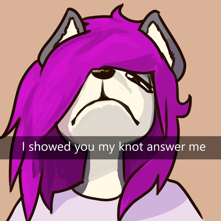 anthro caption dialogue hair looking_at_viewer looking_down looking_down_at_viewer male pupils purple_hair red_eyes simple_background small_pupils solo text fluorite please_respond snapchat canid canine canis domestic_dog husky mammal nordic_sled_dog spitz 1:1 bust_portrait english_text hi_res image_macro meme portrait sketch