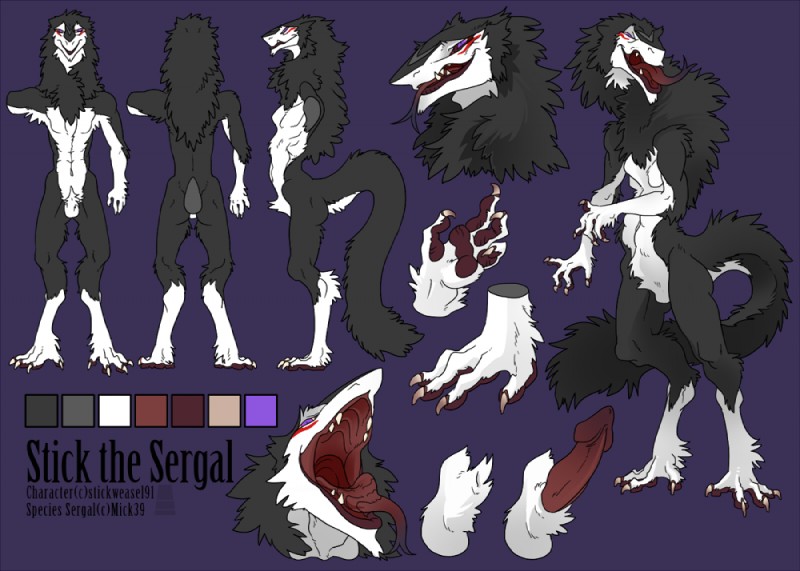 4_toes animal_genitalia anthro balls biped black_body black_fur detached_sheath erection feet fluffy fully_sheathed fur genitals male markings northern open_mouth paws penis purple_eyes scar sheath side_view solo standing stick tail tattoo teeth toes tongue tongue_out white_body white_fur mick39 mammal sergal flat_colors model_sheet