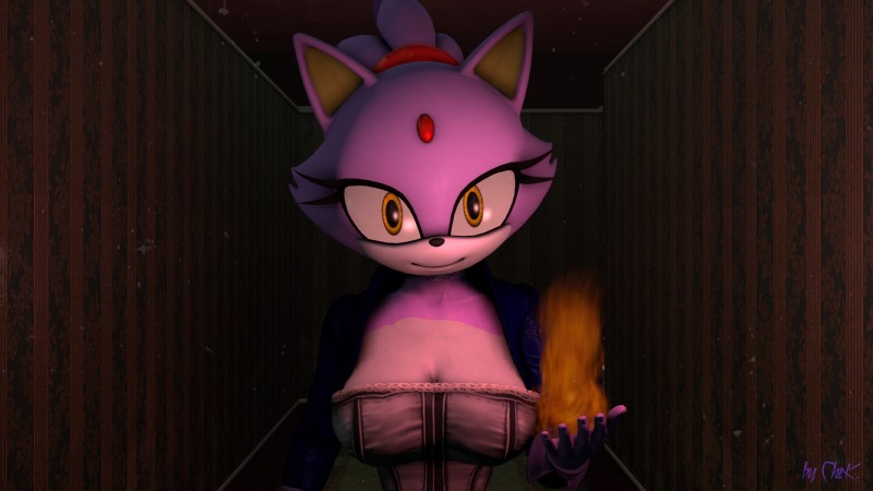 blaze the cat (sonic the hedgehog (series) and etc) created by chek