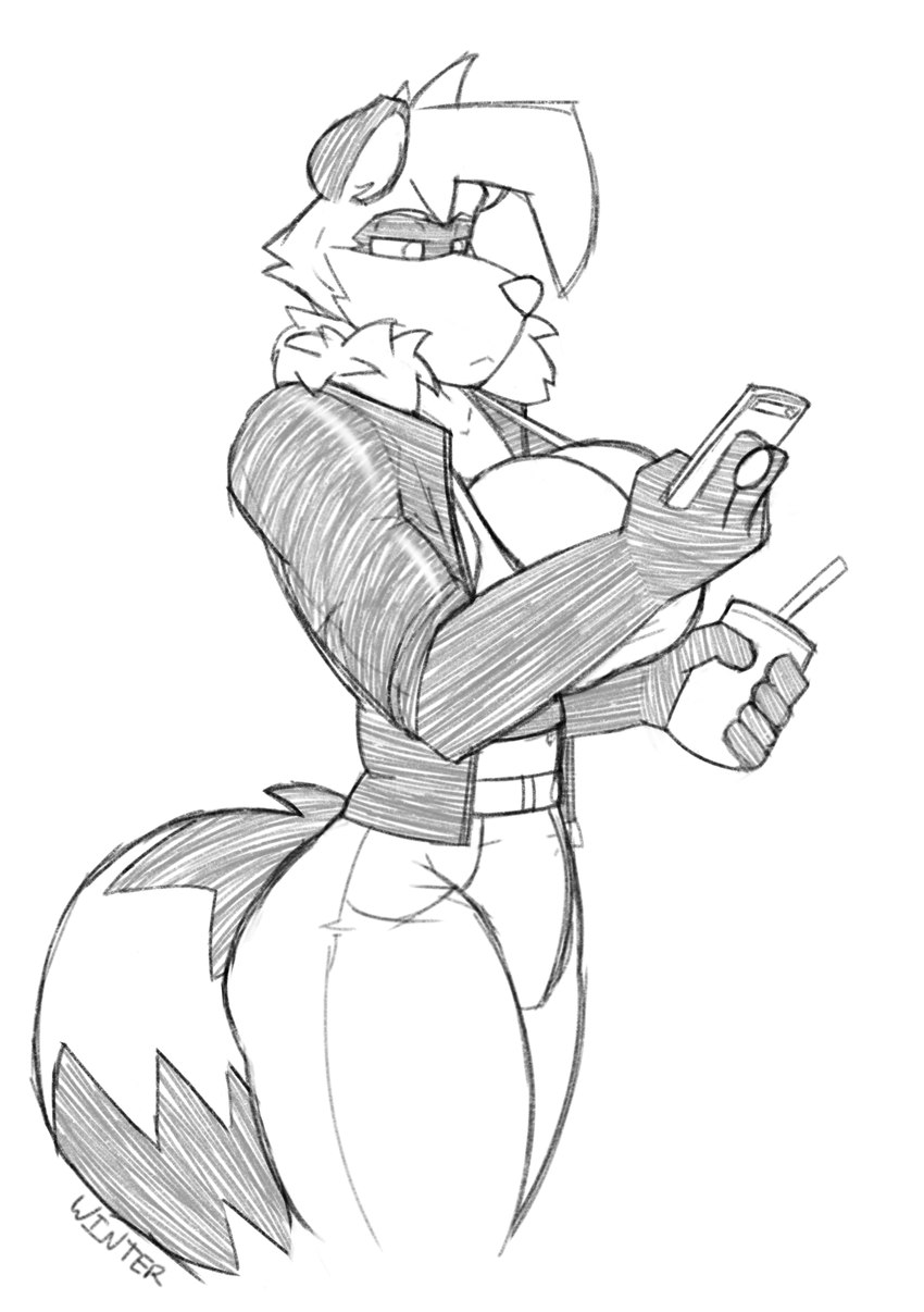 anthro big_breasts breasts clothed clothing electronics female holding_object holding_phone jacket on_phone phone simple_background solo tail topwear wintermadness trish_(winter) mammal procyonid raccoon 2024 hi_res monochrome