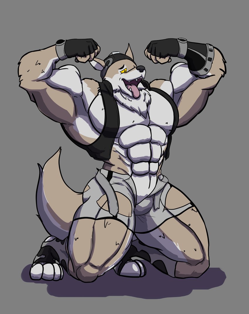 abs anthro big_muscles clothing expansion flexing growth huge_muscles hyper male muscle_growth muscular muscular_anthro muscular_male ripping solo torn_clothing umbreoncloud epic_games fortnite wendell_(fortnite) canid canine canis mammal wolf absurd_res hi_res