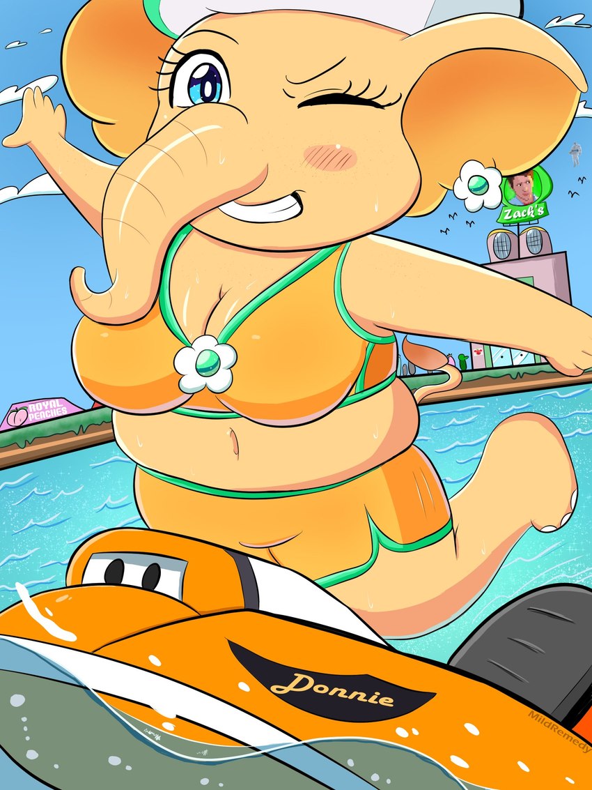 elephant daisy, princess daisy, and princess daisy (mario kart world and etc) created by mildremedy