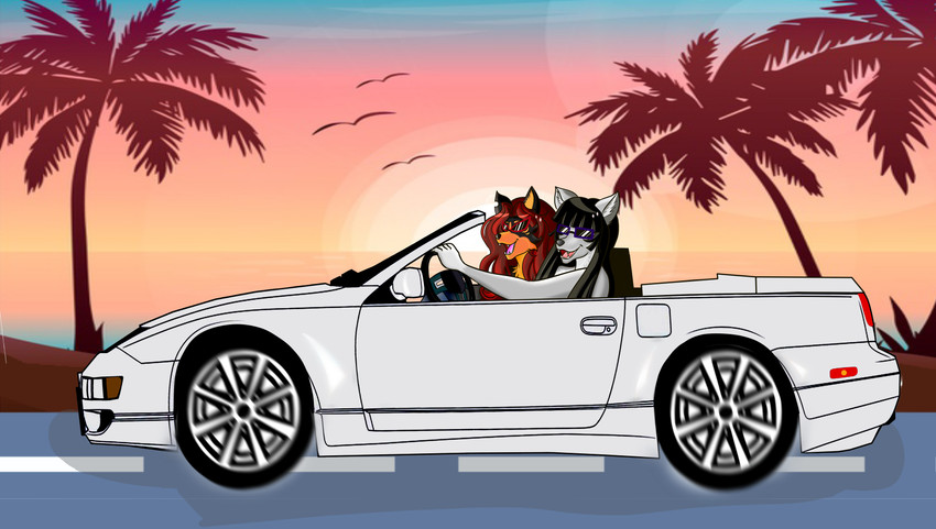 anthro black_body black_fur black_hair black_nose brown_hair cabriolet car driving duo eyewear fangs fur glasses grey_body grey_fur grey_nose hair happy hime_cut inside_car inside_vehicle male male/male orange_body orange_fur palm_tree plant road sea smile sunglasses sunset teeth tree vehicle water renardgia nissan nissan_300zx ederex matija canid canine canis mammal wolf absurd_res hi_res