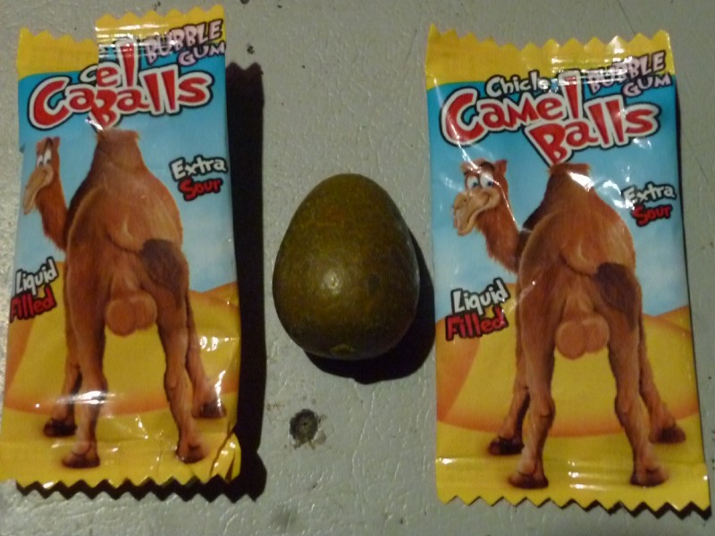 balls bubble_gum fatty_humps feral genitals looking_at_viewer male package real solo why unknown_artist fini_(candy) camel camelid dromedary mammal 4:3 grandfathered_content hi_res photography_(artwork)