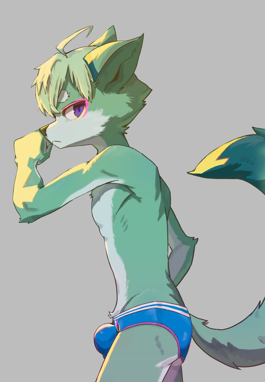 adolescent ahoge anthro biped black_nose blue_briefs blue_clothing blue_underwear briefs briefs_only bulge butt circle_eyebrows clothed clothed_anthro clothed_male clothing countershade_arms countershade_face countershade_fur countershade_hands countershade_legs countershade_torso countershading eyebrows fingers fist fur green_body green_fur grey_background hair hand_on_mouth kemono light long_tail looking_at_viewer male male_anthro mouth_closed multicolored_body multicolored_fur pupils purple_eyes purple_pupils purple_seam_briefs raised_fist raised_hand side_view simple_background skinny skinny_anthro skinny_male slim slim_anthro slim_male solo tail topless topless_anthro topless_male two_tone_body two_tone_fur underwear underwear_only white_body white_countershading white_eyebrows white_fur white_sclera white_seam_briefs young young_anthro young_male ikiyok canid mammal absurd_res hi_res lighting portrait three-quarter_portrait