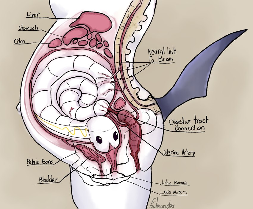 ambiguous_gender anatomy anatomy_reference anthro anus belly big_belly black_eyes black_tail bladder bone coiled_up creature_inside cross_section curled_up diagram duo endosoma female feral feral_prey fully_inside genitals guts host infestation information_label inside_uterus internal intestines liver nerves organs parasite pelvis pregnant pussy safe_vore side_view simple_background spinal_cord spine standing stomach_(organ) symbiotic tail text unbirthing urethra uterus vaginal vore foulmonster third-party_edit fallout:_pca nintendo pokemon absol generation_3_pokemon generation_5_pokemon pokemon_(species) tynamo 2021 biological_illustration english_text flat_colors hi_res medical_illustration signature technical_illustration