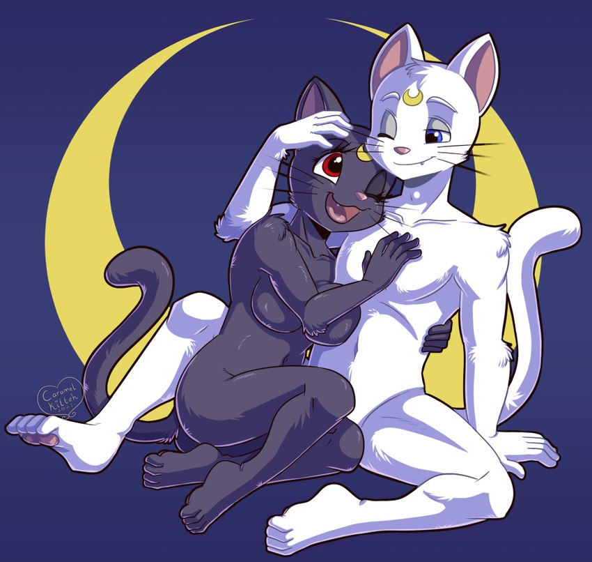 anthro anthrofied black_body black_fur blue_eyes breasts cuddling duo female fur hair male male/female moon navel nude one_eye_closed red_eyes simple_background whiskers white_body white_fur caramel-kitteh sailor_moon_(series) artemis_(sailor_moon) luna_(sailor_moon) domestic_cat felid feline felis mammal