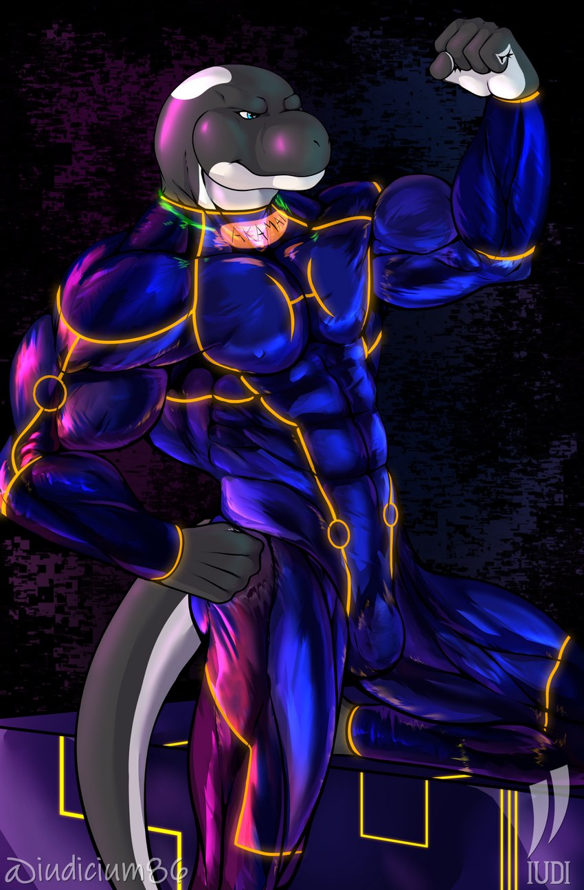 abs anthro clothing flexing latex latex_clothing latex_skinsuit male muscular rubber_clothing science_fiction skinsuit solo tail tight_clothing iudicium86 akamai cetacean dolphin mammal marine oceanic_dolphin orca toothed_whale hi_res