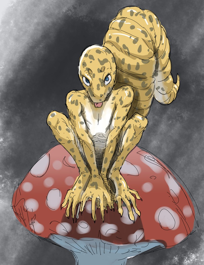 anthro blue_eyes fungus male mushroom simple_background sitting solo spots tongue tongue_out scuotivento eublepharid gecko leopard_gecko lizard reptile scalie digital_media_(artwork) hi_res