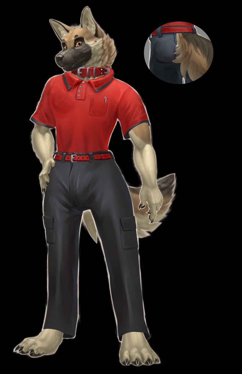 anthro athletic belt black_body black_fur black_nose bottomwear breast_pocket brown_body brown_eyes brown_fur cargo_pants claws clothed clothing collar cutaway digitigrade dress_pants finger_claws fully_clothed fur hand_on_hip looking_at_viewer male pants pawpads paws pen polo_shirt red_leather shirt short_sleeved_shirt short_sleeves solo tail tan_body tan_fur toe_claws topwear tucked_shirt dsw7 krieg_gsd canid canine canis domestic_dog german_shepherd herding_dog mammal pastoral_dog alpha_channel hi_res